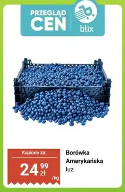Dino Borówki amerykańskie oferta