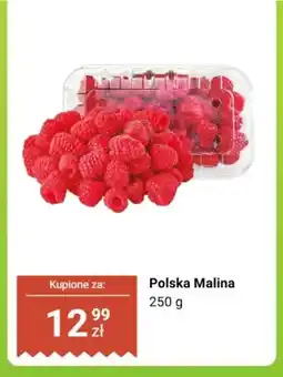 Dino Maliny polskie oferta