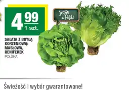 EuroSPAR Sałata masłowa Polski oferta
