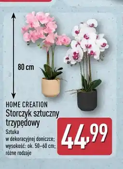 ALDI Storczyk sztuczny trzypędowy Home Creation oferta