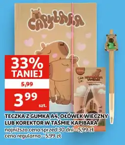 Auchan Teczka z gumką A4, ołówek wieczny lub korektor w taśmie Kapibara oferta