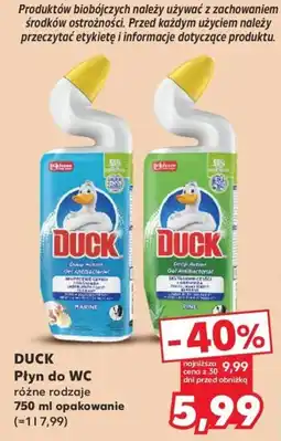 Kaufland DUCK Płyn do WC oferta
