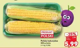 Kaufland Polska kukurydza oferta