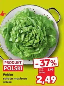 Kaufland sałata masłowa sztuka oferta