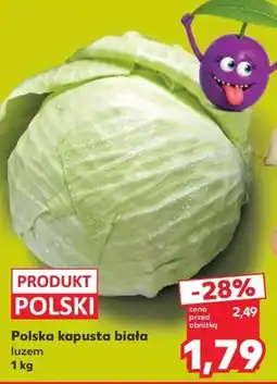 Kaufland Polska kapusta biała oferta