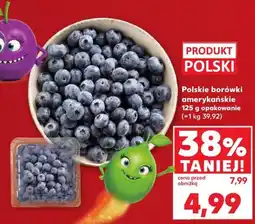 Kaufland Polskie borówki amerykańskie oferta