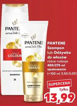 Kaufland PANTENE Szampon lub Odżywka do włosów oferta