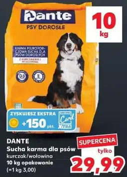 Kaufland Dante Sucha karma dla psów kurczak/wołowina oferta