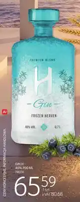 Selgros Gin H oferta