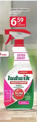 Selgros Spray do czyszczenia Ludwik oferta