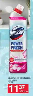 Selgros Żel do WC Domestos oferta