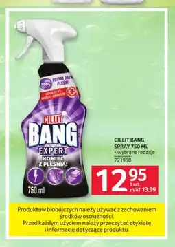 Selgros Spray do czyszczenia Cillit Bang Expert Koniec z pleśnią oferta