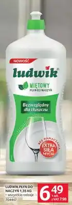 Selgros Płyn do naczyń Ludwik oferta