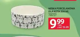 Selgros Miska porcelanowa dla kota oferta