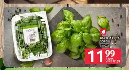 Selgros Bazylia cięta oferta