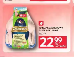 Selgros Kurczak tuszka oferta
