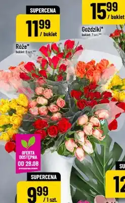 Róże