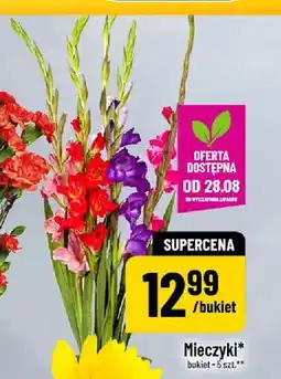 Polomarket Mieczyki oferta
