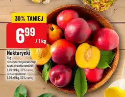 Polomarket Nektarynki oferta