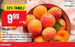 Polomarket Morele oferta