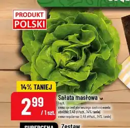 Polomarket Sałata masłowa oferta