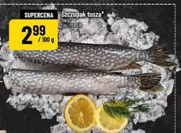 Polomarket Szczupak tusza oferta