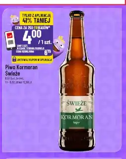 Polomarket Piwo Kormoran Świeże oferta