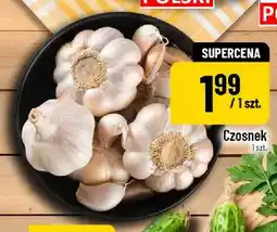 Polomarket Czosnek oferta