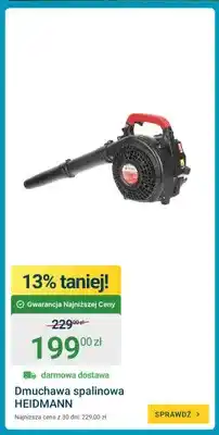 ERLI Dmuchawa spalinowa Heidmann oferta
