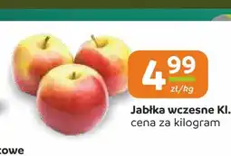 Społem Częstochowa Jabłka wczesne Kl. I oferta