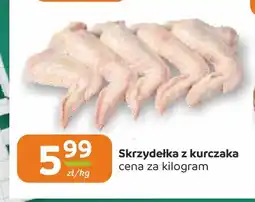 Społem Częstochowa Skrzydełka z kurczaka oferta