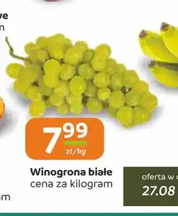 Społem Częstochowa Winogrona białe oferta
