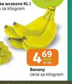 Społem Częstochowa Banany oferta