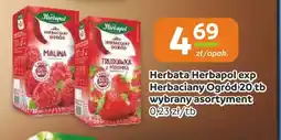 Społem Częstochowa Herbata Herbapol Herbaciany Ogród Malina oferta