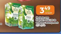 Społem Częstochowa Herbata Herbapol Zielnik Polski Melisa oferta