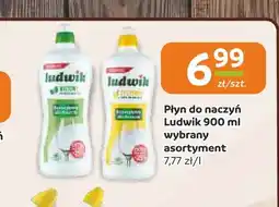 Społem Częstochowa Płyn do naczyń Ludwik oferta