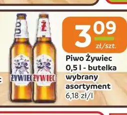 Społem Częstochowa Piwo Żywiec oferta