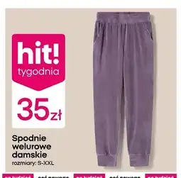 Pepco Spodnie welurowe damskie oferta