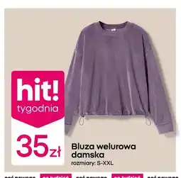Pepco Bluza welurowa damska oferta