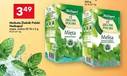 Lewiatan Herbata Zielnik Polski Herbapol mięta oferta