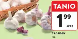 Intermarche Czosnek oferta