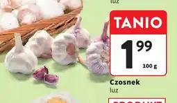 Intermarche Czosnek oferta