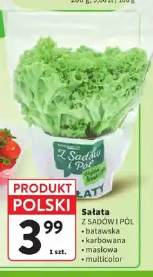 Intermarche Sałata batawska Z Sadów i Pól oferta