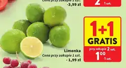 Intermarche Limonki oferta