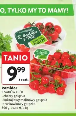 Intermarche Pomidory oferta