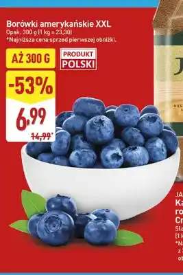 Borówki amerykańskie XXL polskie