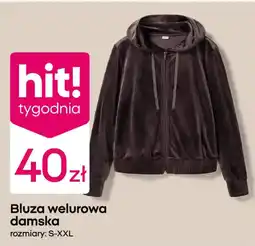 Pepco Bluza welurowa damska oferta