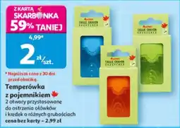 Auchan Temperówka z pojemnikiem oferta
