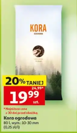 Auchan Kora Sosnowa oferta