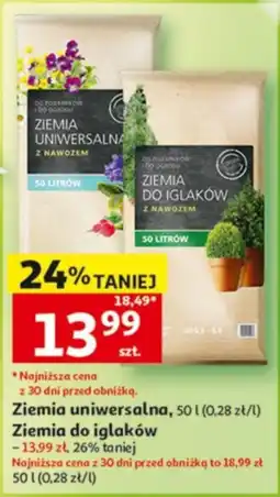 Auchan Ziemia uniwersalna oferta